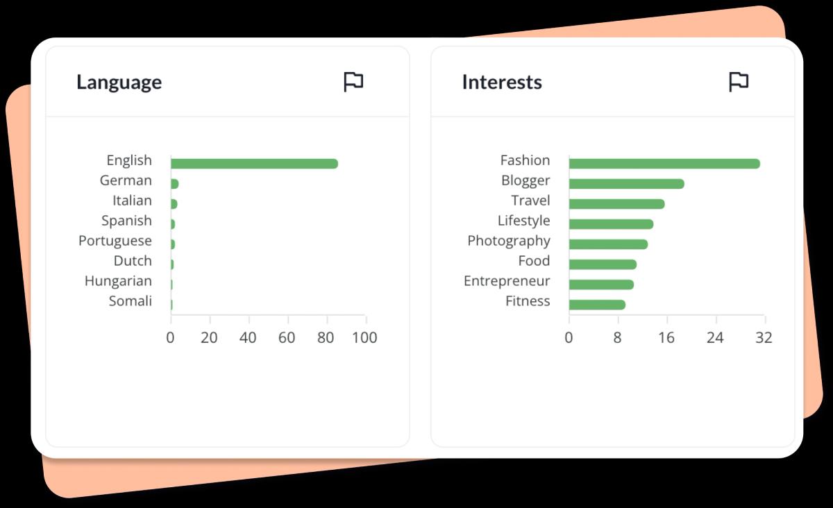 Pie chart showing influencer audience demographics